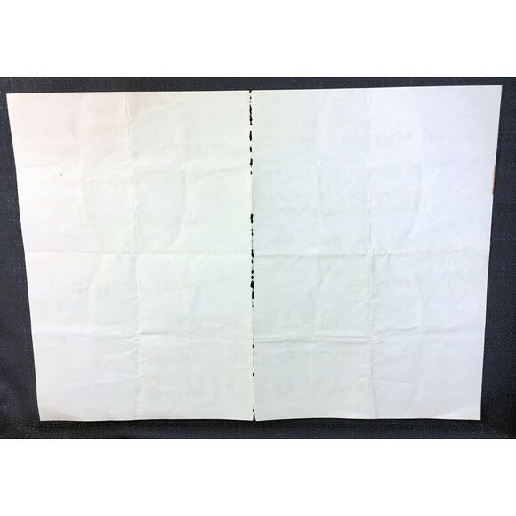 Original 1965 Poster - Mt. Olive Illinois Area Centennial Celebration Genealogy - Picture 2 of 2